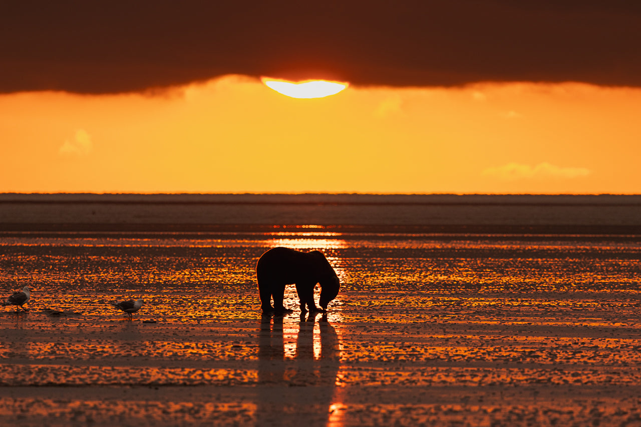 Feasting at Daybreak